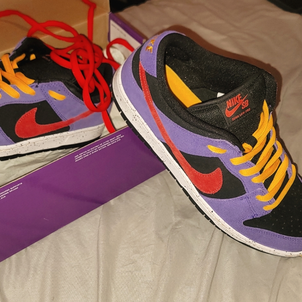 Nike sb DUNK low pro zoom air size 12 brand new in box